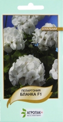 Пеларгонія Бланка (5шт)