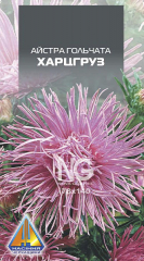 Айстра Харцгруз гольч (10г)