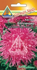Айстра Холландер (10г)