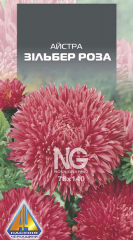Айстра Зільбер Роза (10г)