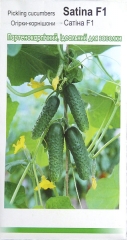 Огірки Сатіна (100шт)