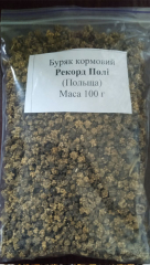 Буряк кормовий Рекорд Полі PL*з/п (100г)