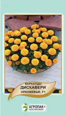 Чорнобривці Діскавері помаранч. (10шт)