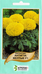 Чорнобривці Антігуа жовті (10шт)