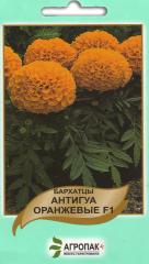 Чорнобривці Антігуа помаранчеві (10шт)