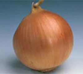 Цибуля БАНКО (250000шт)
