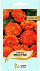 Цинія Ліліпутек помаранчевий (0.2г)
