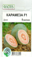 Диня Карамеза (5шт)