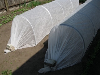 Парник "Подснежник" (30г/м.кв; 4м.)