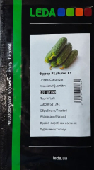 Огірки Фурор F1 (100шт)