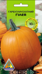 Гарбуз Гілея (10г)