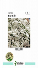 Кермек білий (5г)