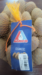 Картопля Есмі (ранній)