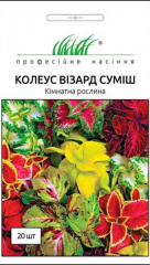 Колеус Візард суміш (20шт)