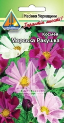 Космея Морські  ракушки (0.3г)