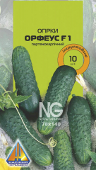 Огірки Орфеус F1 інк (10шт)