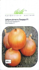 Цибуля ріпчаста Пандеро F1 (200шт)