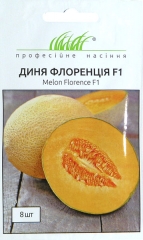 Диня Флоренція F 1 (8шт)