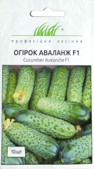 Огірки Аваланж F1 (10шт)