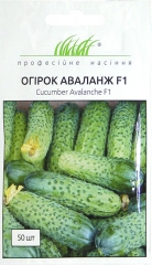 Огірки Аваланж F1 (50шт)