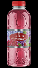 Рост-SOUR для ГОРТЕНЗІЇ (1.2л)