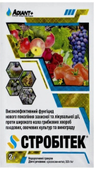 Стробітек (2г)
