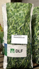 Трава газонна Тіньовитривала DLF (1кг)