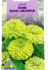 Цинія Енві біло-зелена (0.3г)