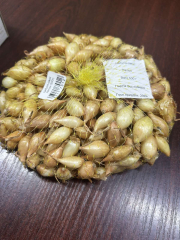 Цибуля-сівок Натіон (500г)